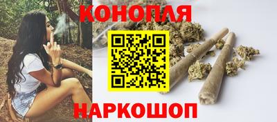 крисы Обнинск