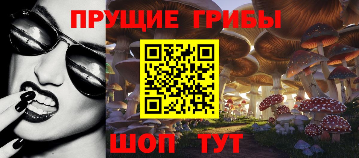 цена наркотик  Галлюциногенные грибы мицелий  Вход с VPN  Сафоново 